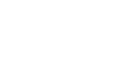 Dentro